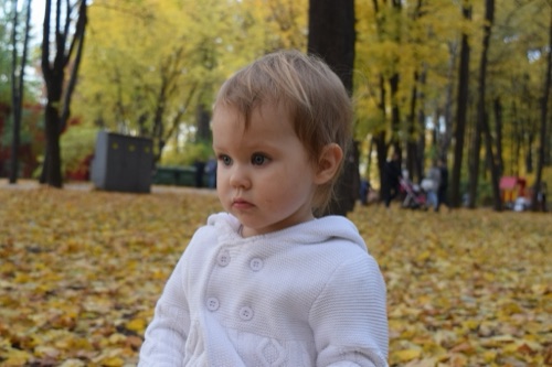 Осенняя семейная